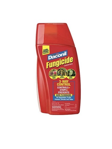 Daconil fungicide concentrate - fungicide,