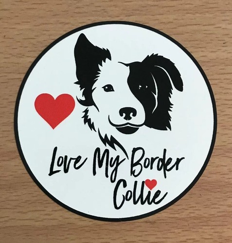 Border collie sticker dogs - sticker,