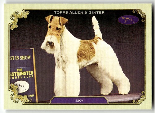 2024 topps allen ginter - 2024,