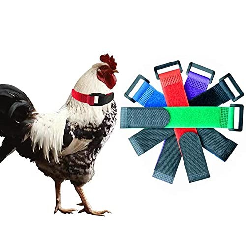 Bmiroamdfe upgrade crow - upgrade, no