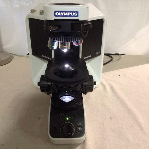 Olympus bx43f compound - olympus,