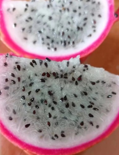 White crystal dragon fruit - *,