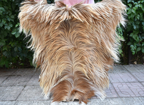 Angora goat leather - angora,