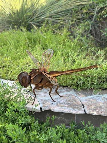 Hand crafted metal dragonfly - metal,
