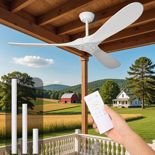 White ceiling fan no - white,