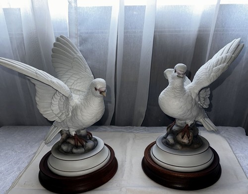 Pair andrea sadek - of,