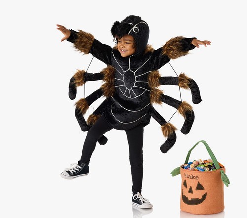 Pottery barn kids - pottery,