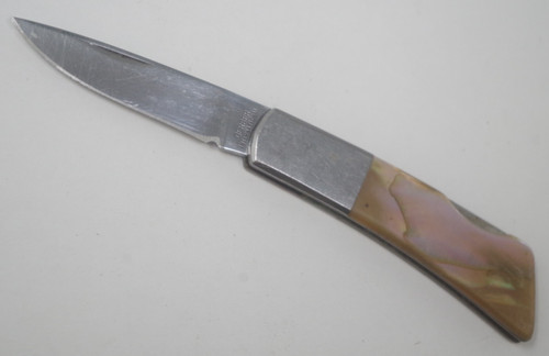 Pink abalone gerber - pink, silver