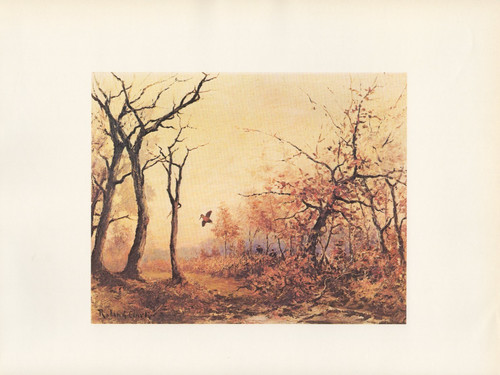1972 vintage hunting open - 1972,