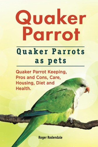 Quaker parrot parrots - quaker,