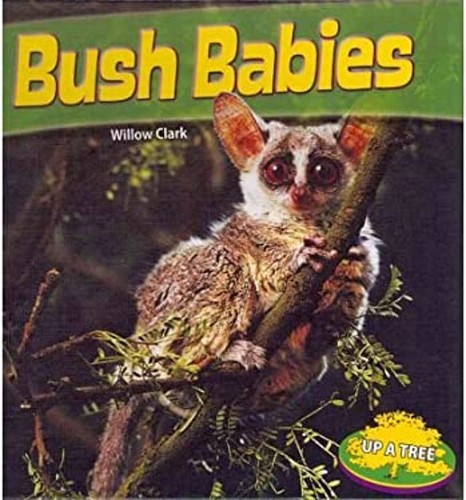 Bush babies library binding - babies,