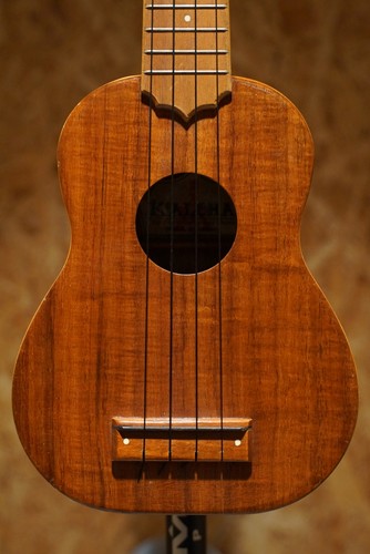 Koaloha ksm owari - koaloha,