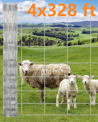 Garvee cattle farm - farm, fence