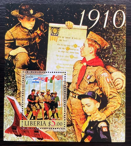 Scouting boy scouts - boy,