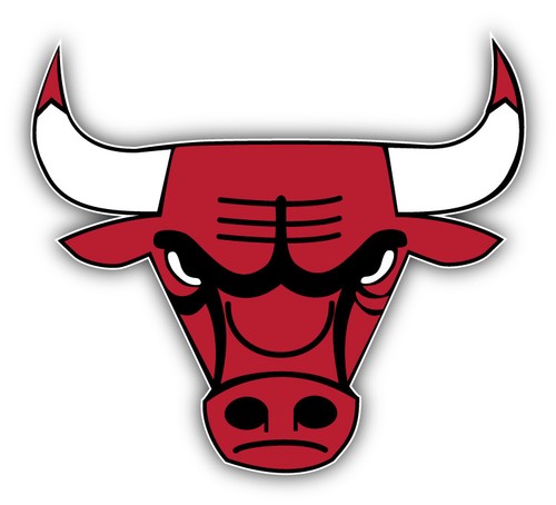 Chicago bulls nba basketball - chicago,