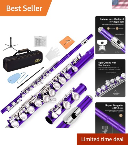 Closed hole keys flute - closed,