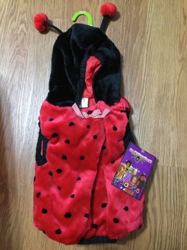 Baby girls size ladybug - girls, mo