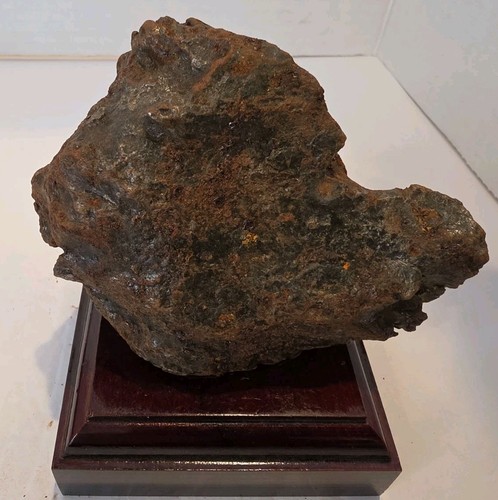 Very rare large whole heavy - very,