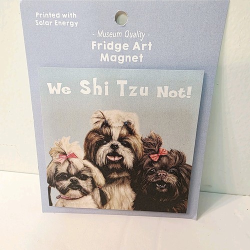 Shi tzu puppy - puppy, gang