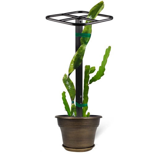 Durable metal dragon fruit - metal,