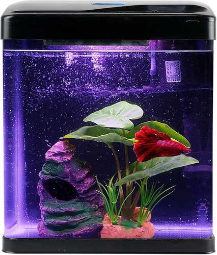 Fish tank self - tank, cleaning