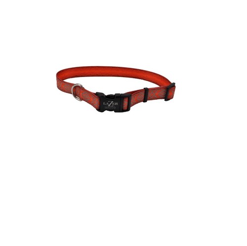 Lazer brite collar for dog - brite,
