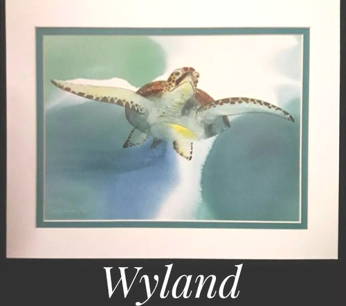 Wyland 14 fine art - wyland,,