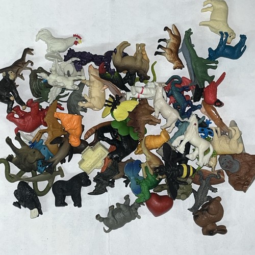 Lot individual safari - lot, 65+
