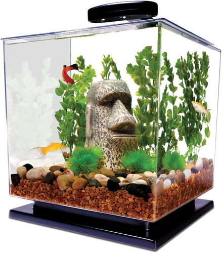 Cube starter gallon fish - cube,