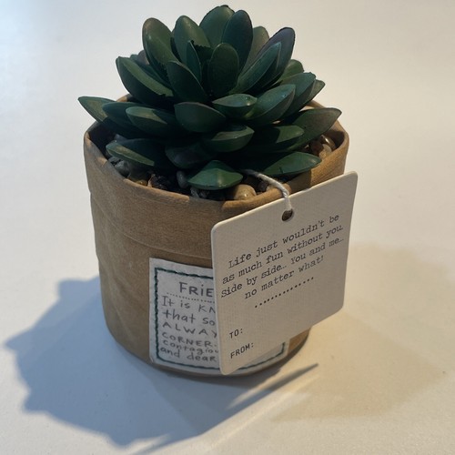 Demdaco green succulent - demdaco, plant