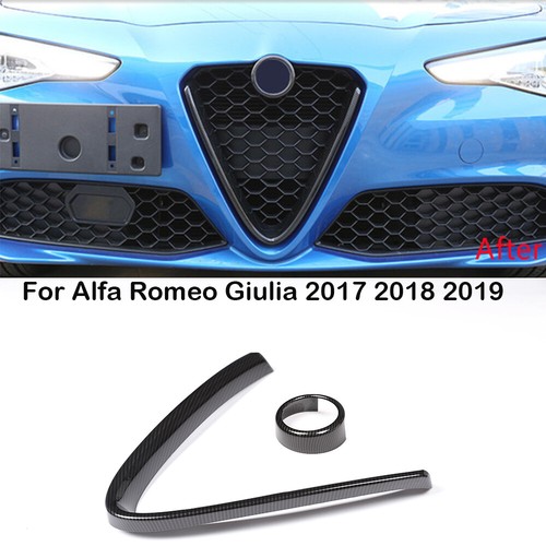 Carbon fiber abs front grille - abs,