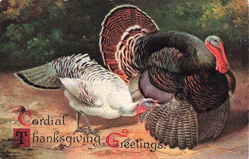 Thanksgiving iap alfred - iap,,