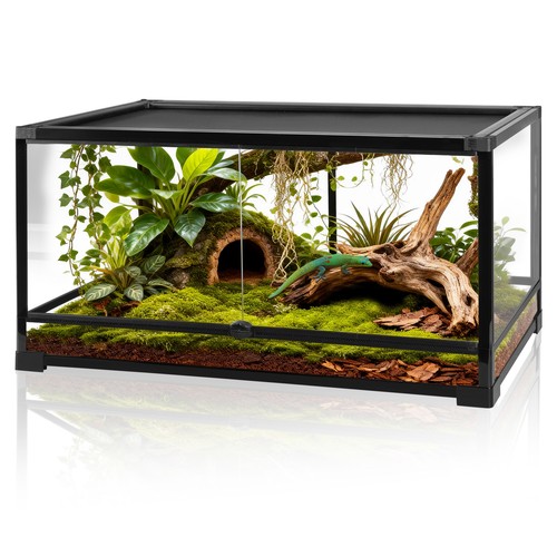 Gallon glass reptile - glass,