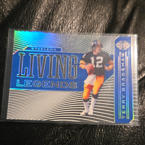 Panini illusions 2020 terry - illusions,