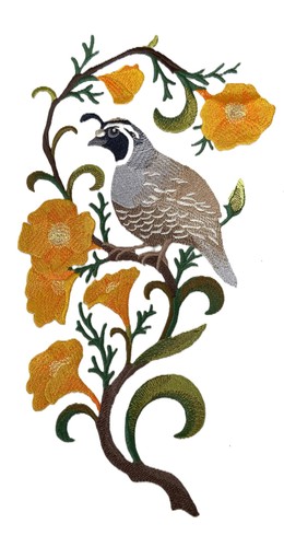Custom california quail and - custom,