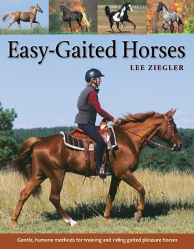 Easy gaited horses gentle - easy-gaited, :