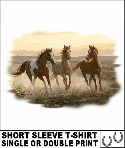 Beautiful wild paint mustang - wild,