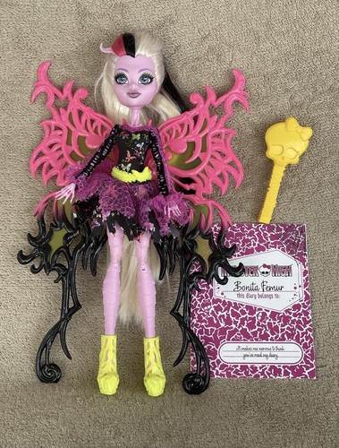 Bonita femur moth - bonita, /