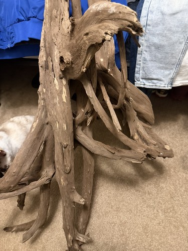 32inch reptile - 32inch,