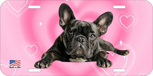 French bulldog brindle lying - french,