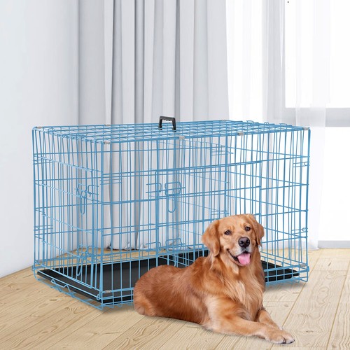 48 inch blue - 24/30/36/42/48, dog