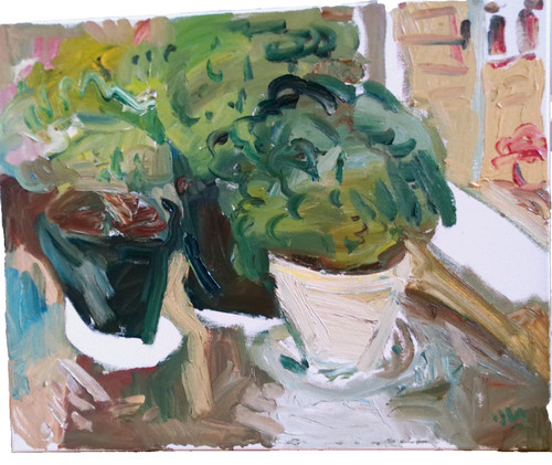 Still life plants - still,