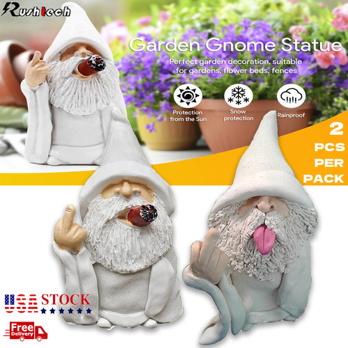 White wizard gnome middle - gnome,
