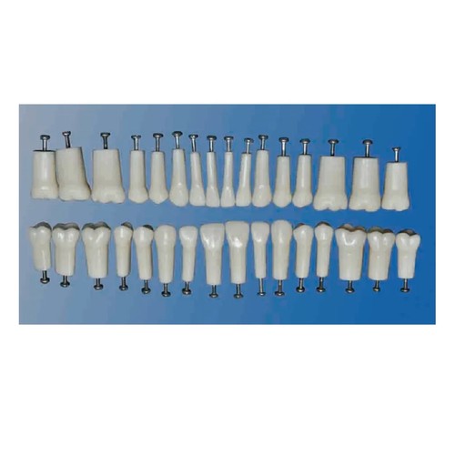 Replacement teeth compatible - teeth,,