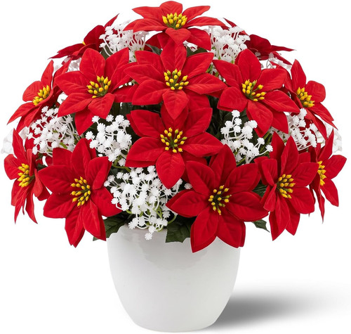 Red christmas poinsettia - red,