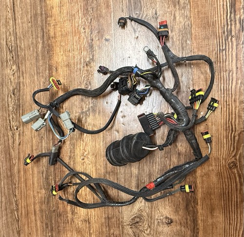 Hp evinrude etec - 40,