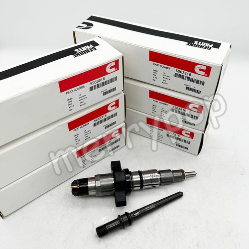 Diesel fuel injectors for - diesel,