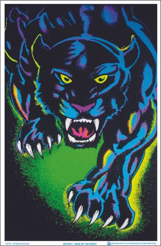 King the night panther - of,
