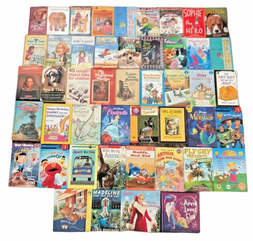 Big lot assorted chapter - big,