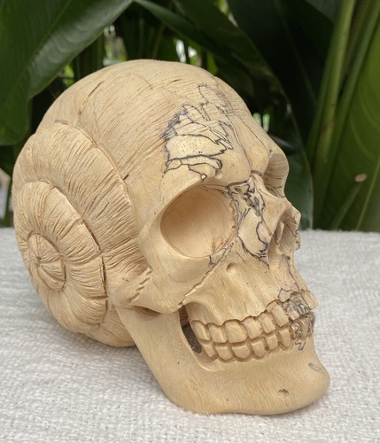 Solid carved wooden - carved, human